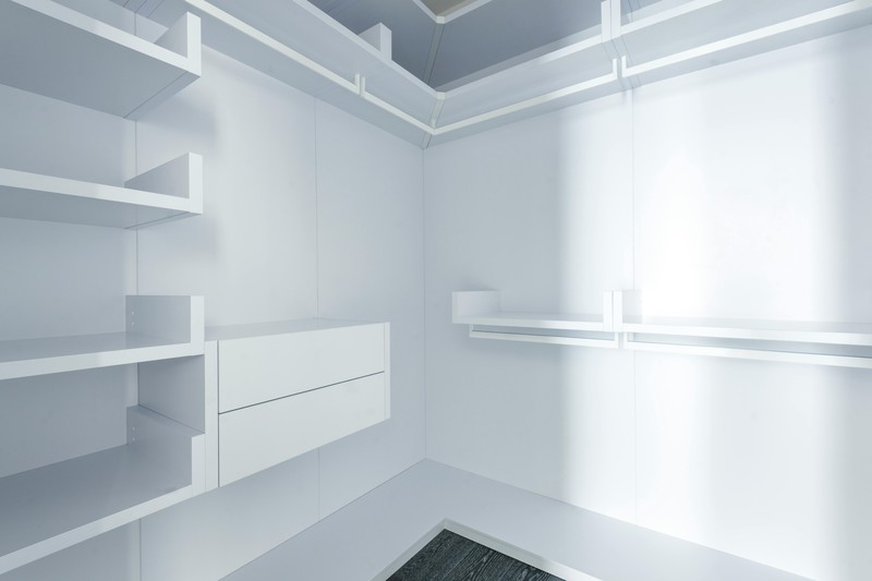 White closet interior with birch plywood shelves and a natural wood accent wall