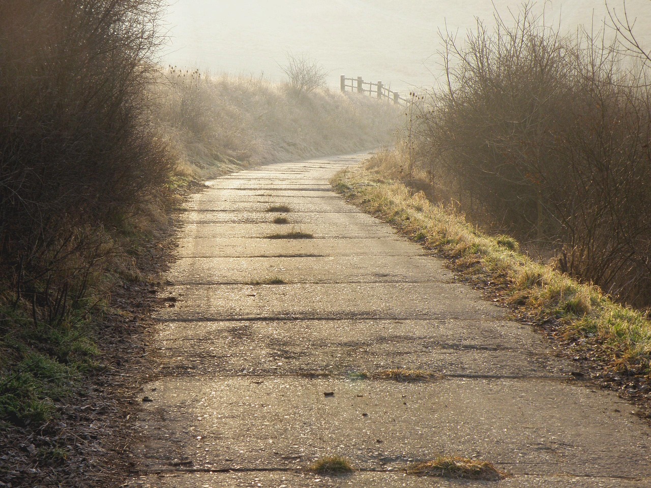 way, winter, icing, country, walk, in winter, nature, light, autumn