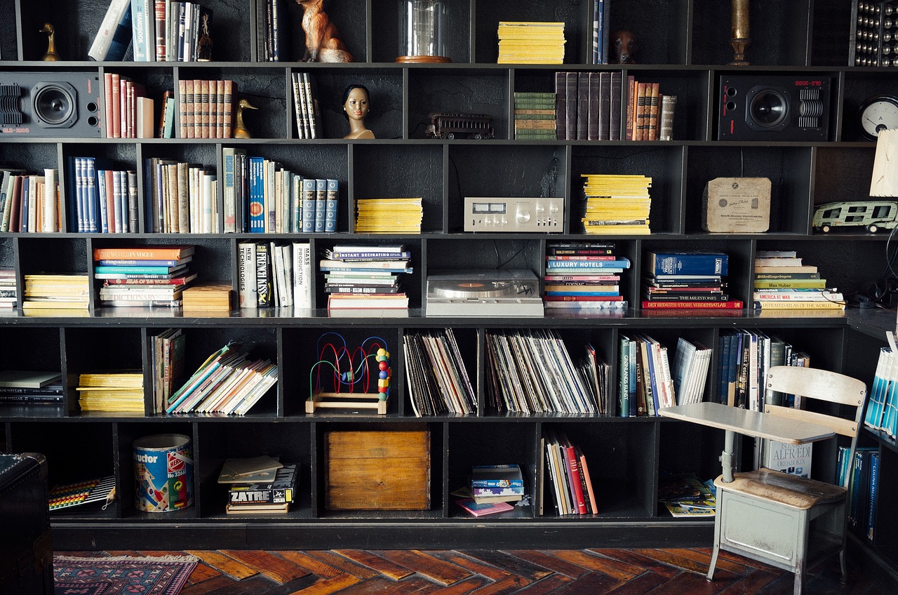 bookshelf, library, literature, books, knowledge, information, bookstore, shelf, cupboard, reading, interior, shelves, e