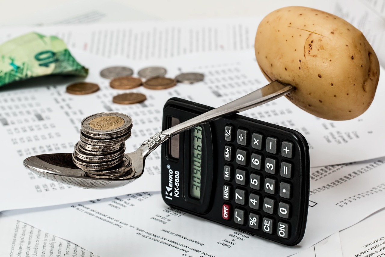 coins, calculator, budget, household budget, money, cash, currency, saving, accounting, market, calculation, earning, pl